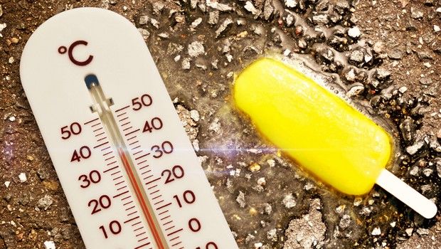 Réchauffement climatique - canicule - climat